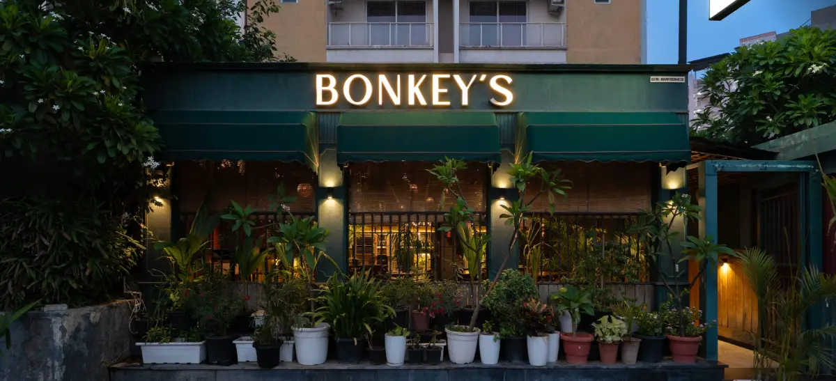 Bonkey's photo 3