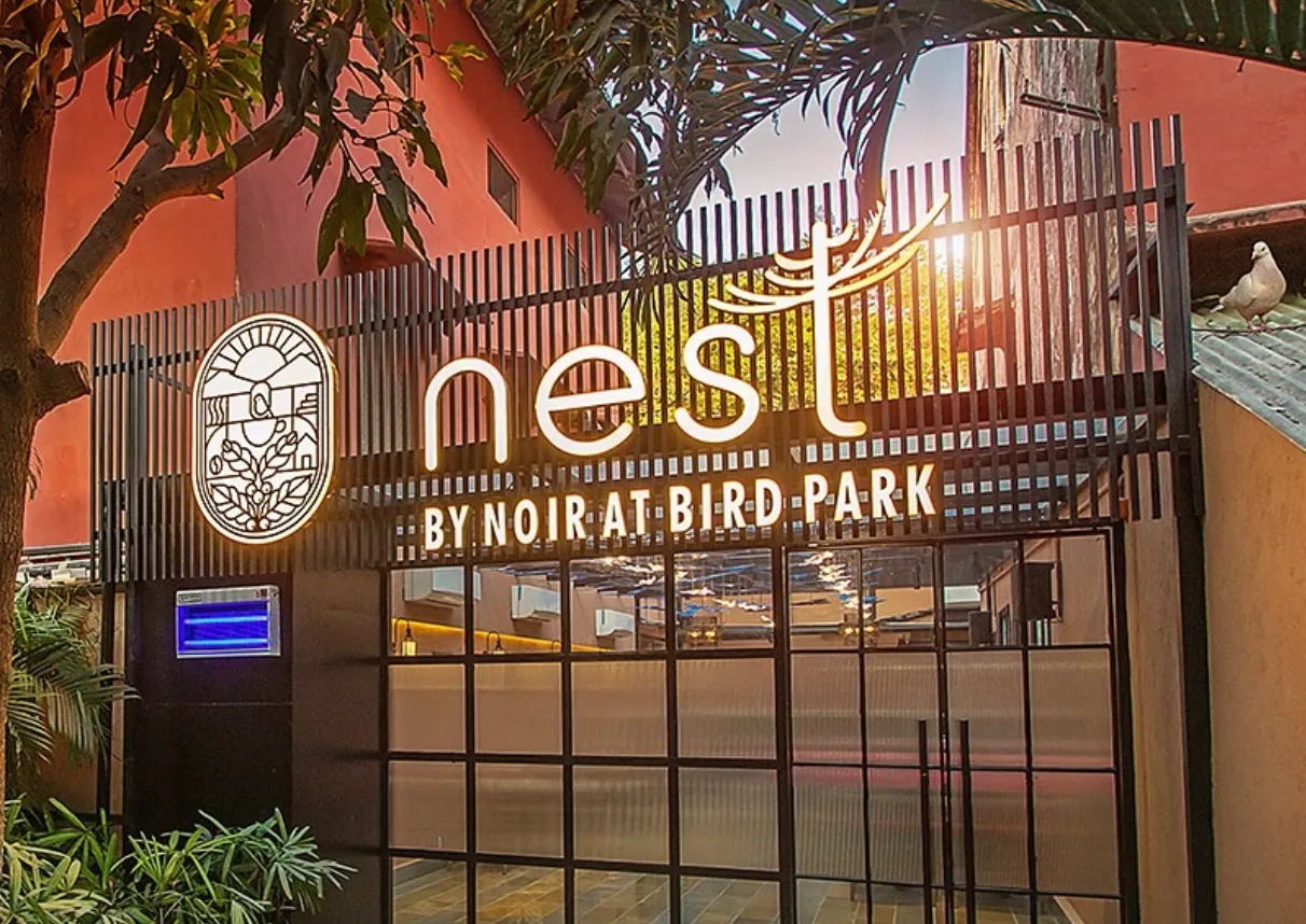 Nest by Noir cover photo