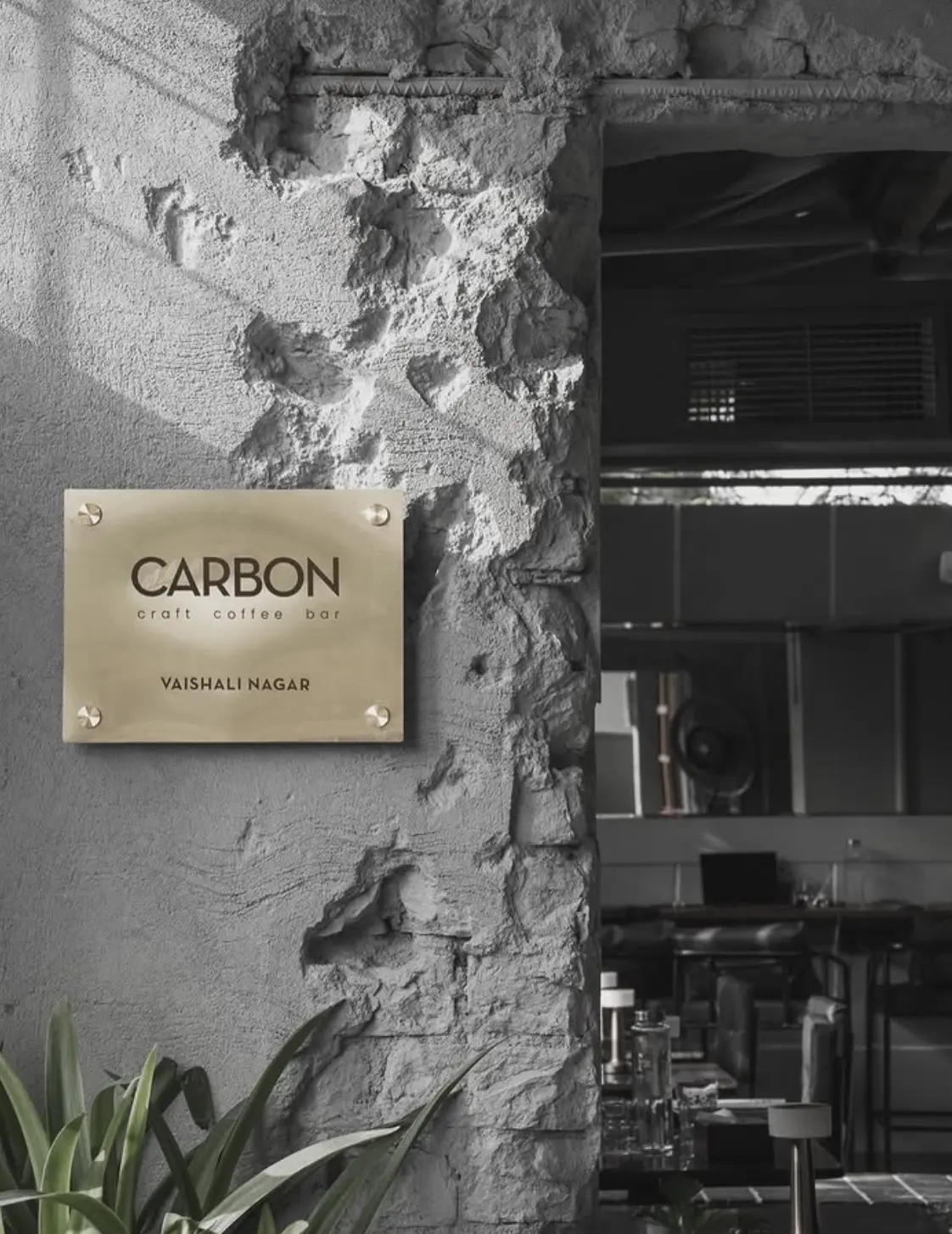 Carbon 3.0 photo 4